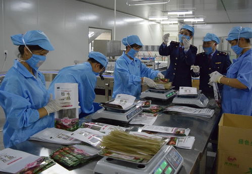 安全質(zhì)檢丨以法律為基石，筑牢質(zhì)量安全防線